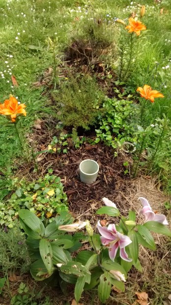 My friend Jules' grave