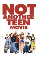 Not Another Teen Movie poster
