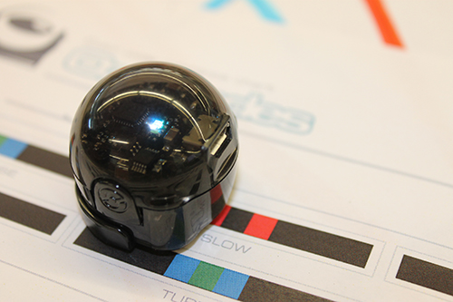 img_0170-opt-for-web