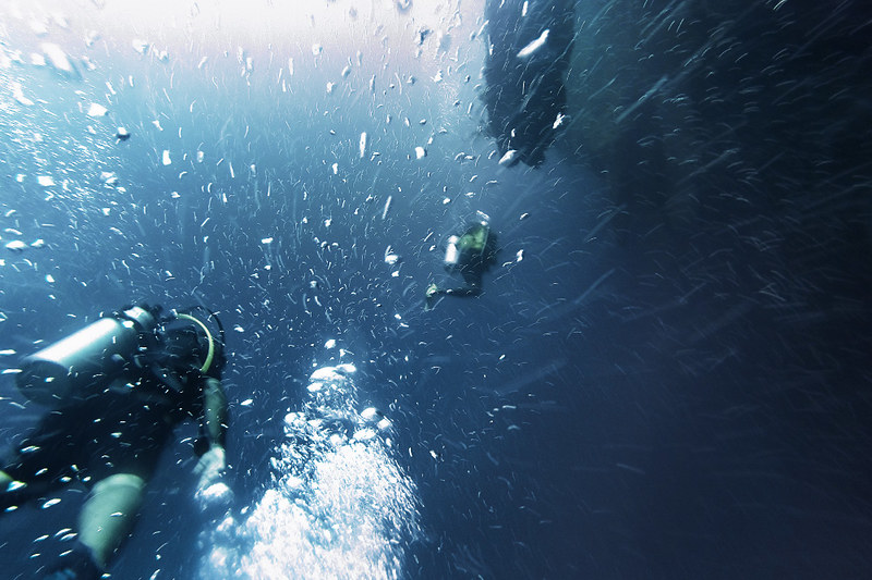 29569296885_fdc992d3df_c