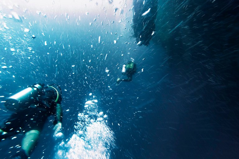 29569296885_fdc992d3df_c